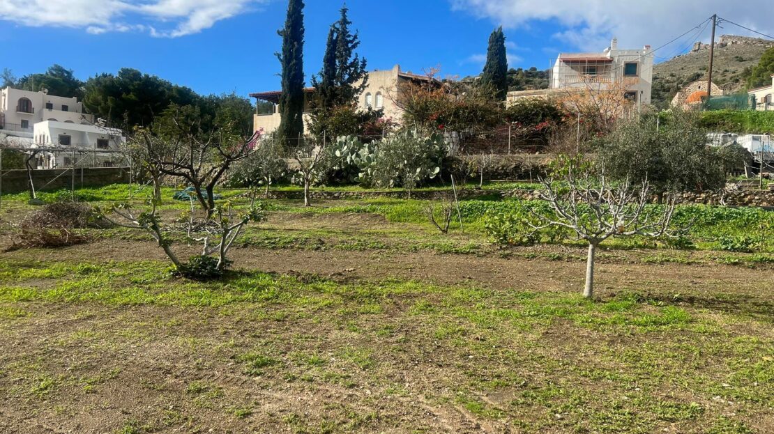 Plot for sale in Elies No 1216 to Aegean Kalymnos Real Estate