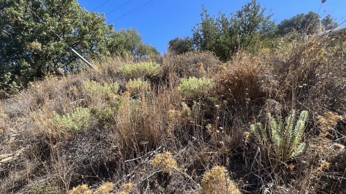 Land for sale in Panormos area No 1228 to Aegean Kalymnos